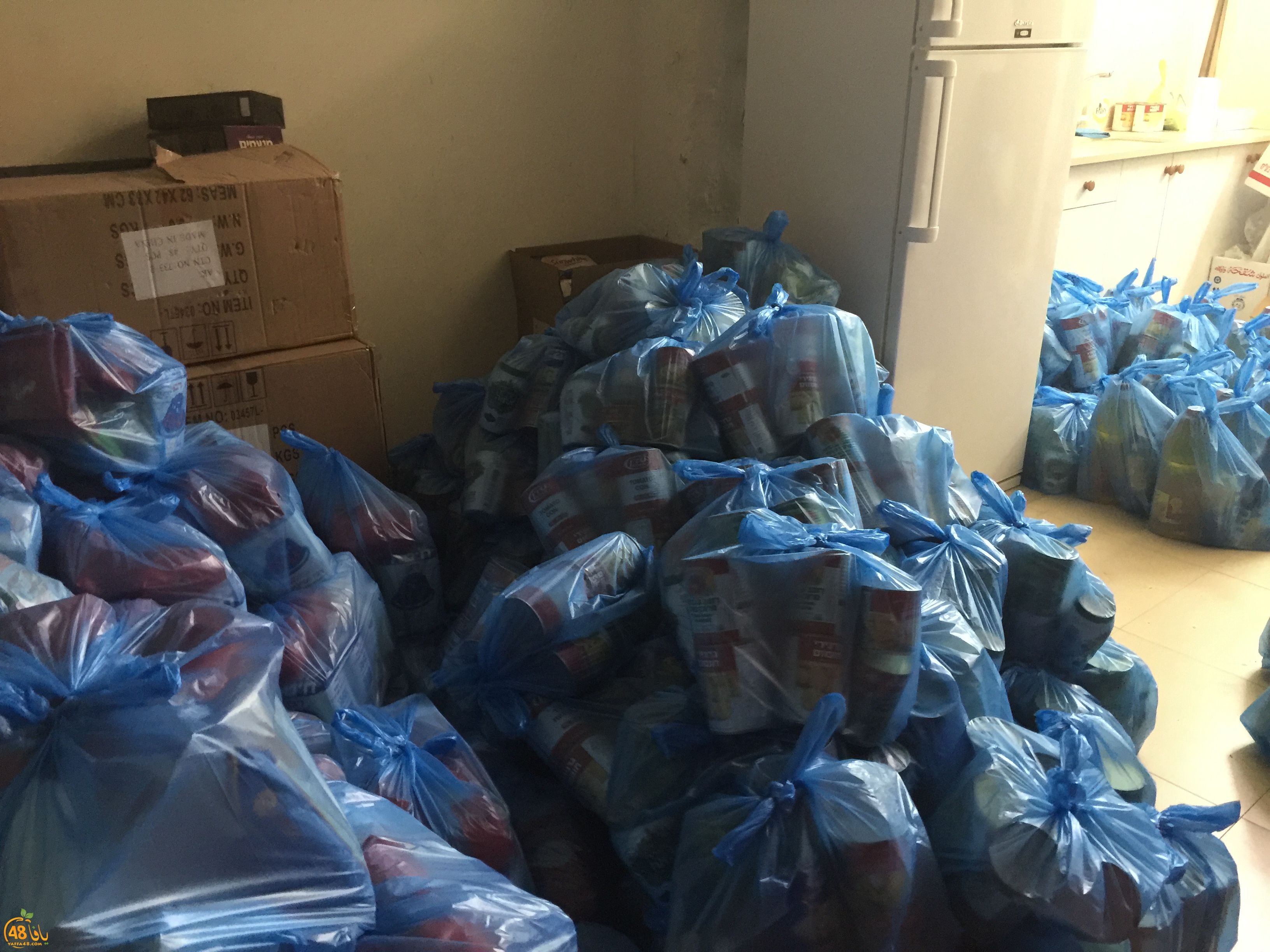 torid lud 3i984 (2).jpg